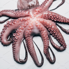 Big Octopus