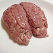 Frozen Sheep Brain