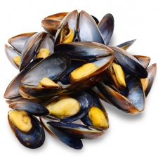 Mussel Black