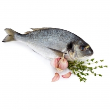 Sea Bream 400-600