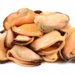 Mussel Meat