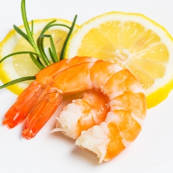 Shrimp2