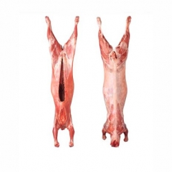 Whole Lamb